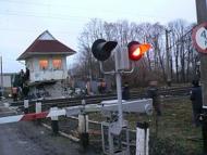 Голендры мои