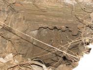 Фортеця Владислава Острозького-Заславського