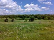 Мандрівки по околицях