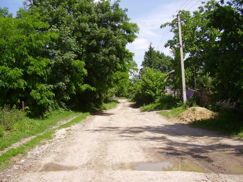 Коржівці з panoramio.com - Коржівці