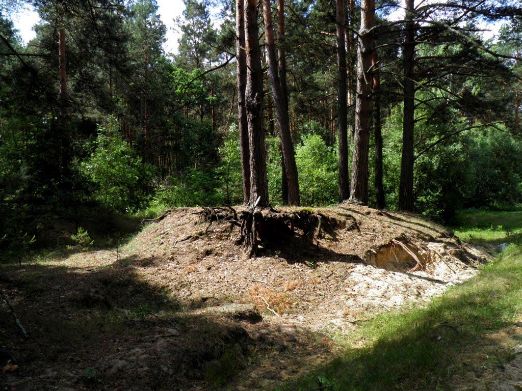 Маневичі з panoramio.com - Маневичи