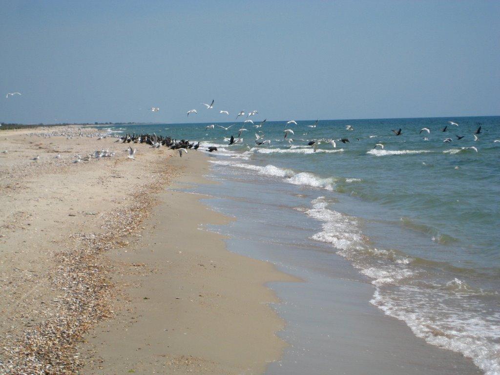 Балабанка з panoramio.com - Балабанка