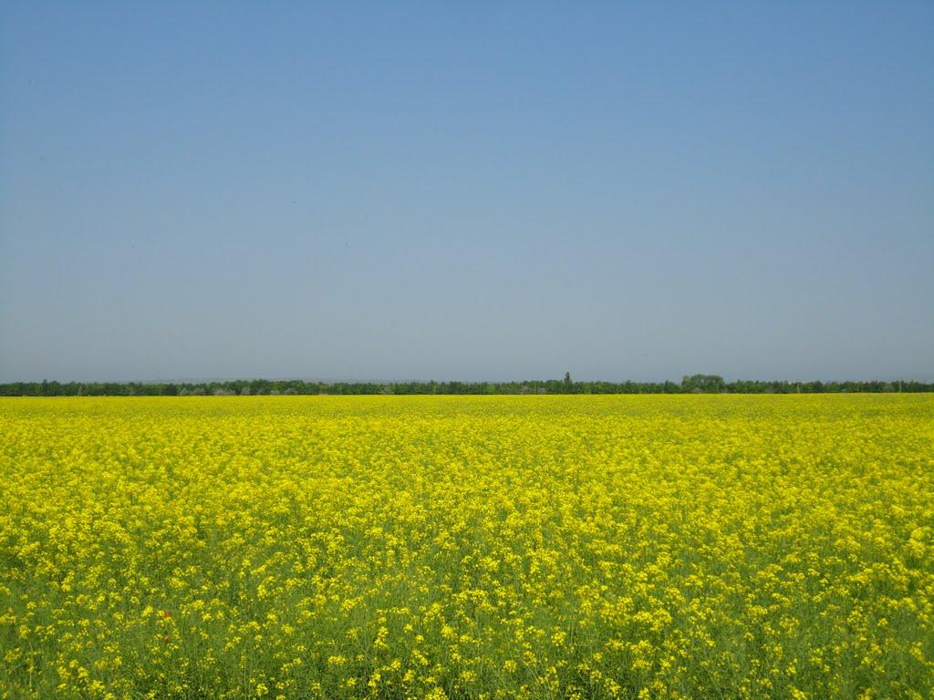 Леніне з panoramio.com - Леніне