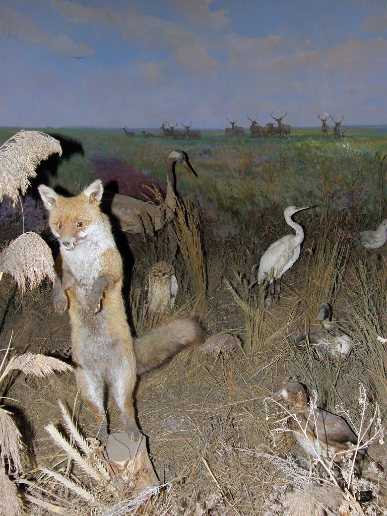 Генічеськ з panoramio.com - Genichesk