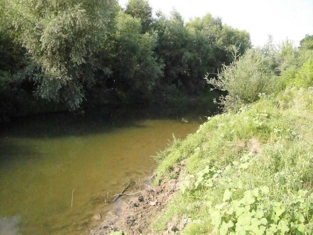 Бісковичі з panoramio.com - Бісковичі