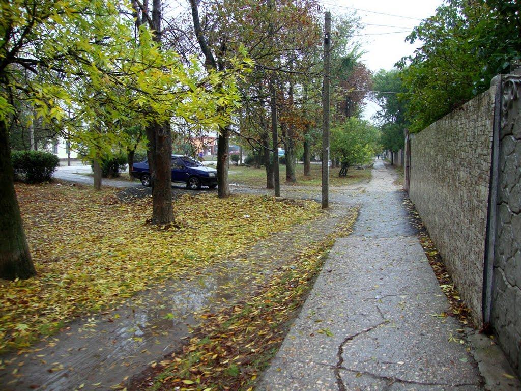 Гвардійське з panoramio.com - Gvardiyske