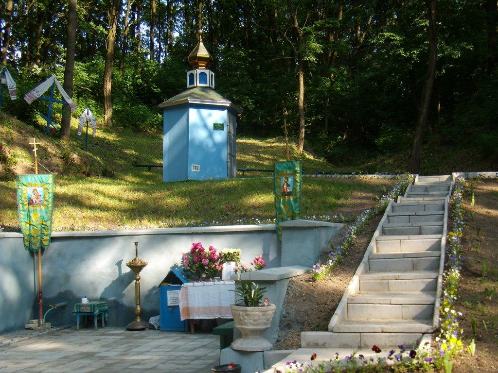 Ріжки з panoramio.com - Ріжки