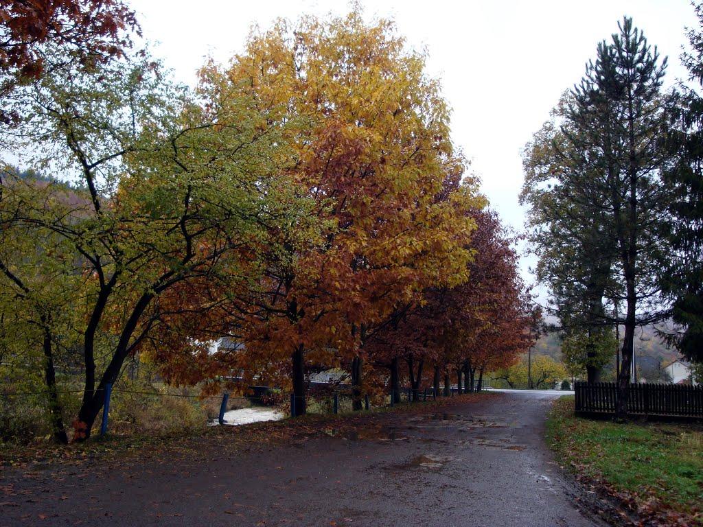 Стричава з panoramio.com - Стричава