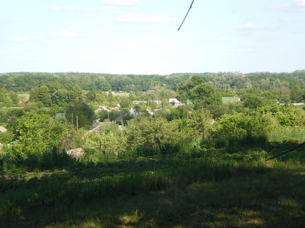 Доброславівка з panoramio.com - Доброславівка