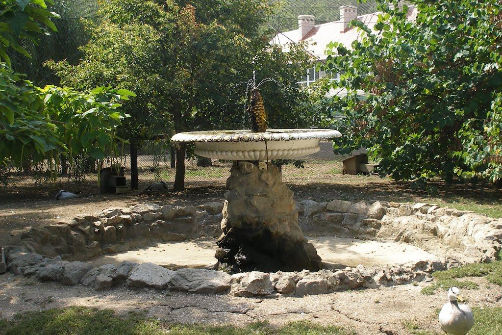 Асканія-Нова з panoramio.com - Askaniya-Nova
