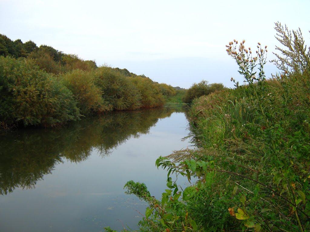 Льгів з panoramio.com - Льгів