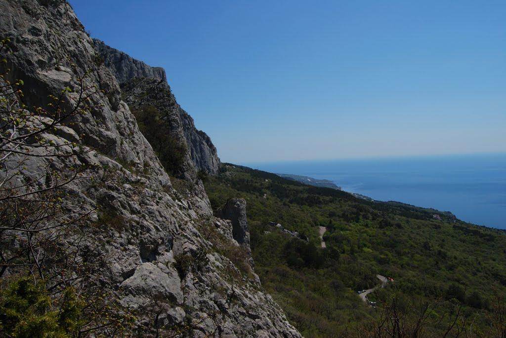 Олива з panoramio.com - Olyva
