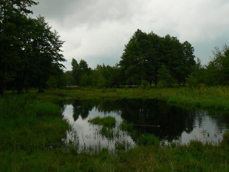 Погулянка з panoramio.com - Погулянка