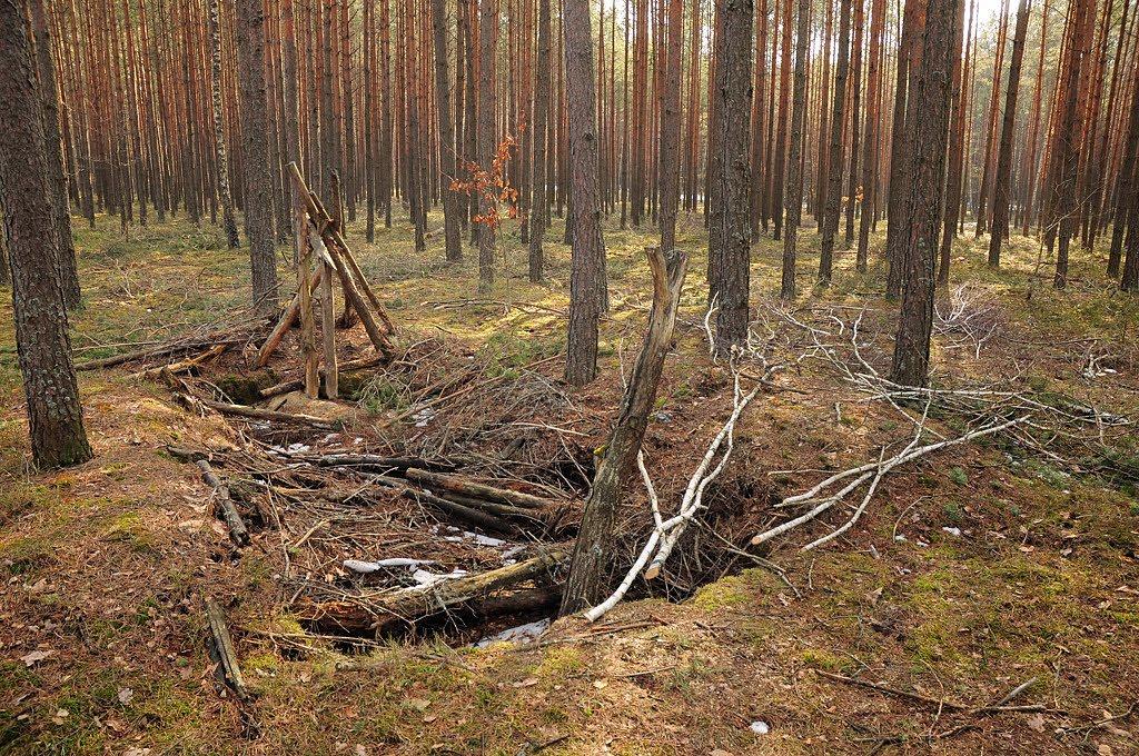 Забужжя з panoramio.com - Забужжя