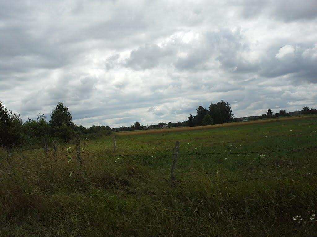 Сошники з panoramio.com - Сошники