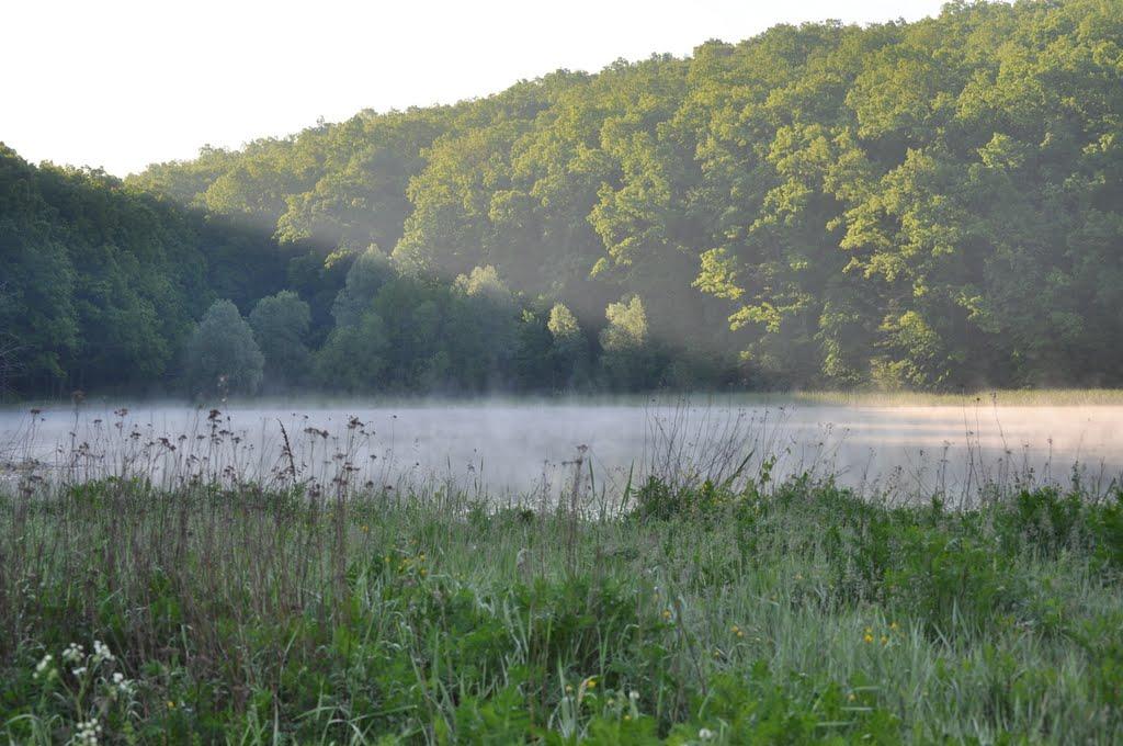 Велика Гомільша з panoramio.com - Велика Гомільша