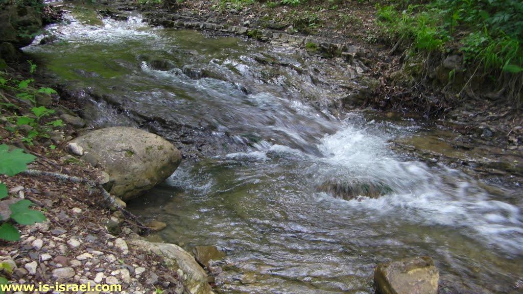 Щасливе з panoramio.com - Счастливое