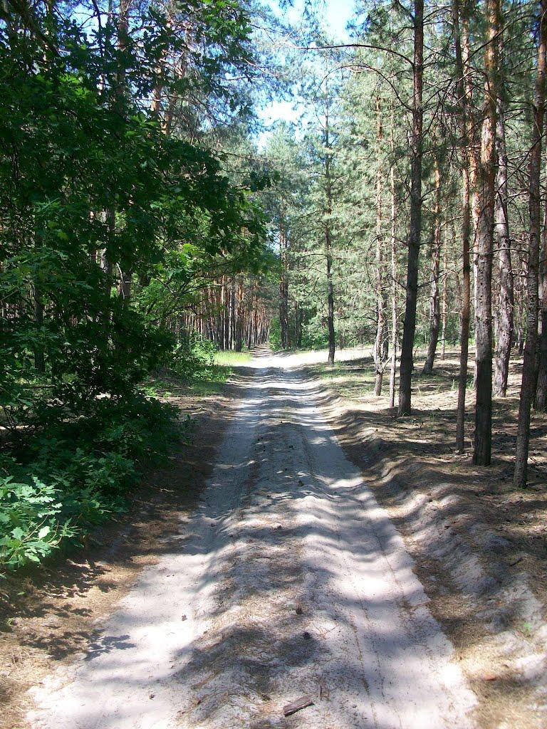 Богородичне з panoramio.com - Bogorodychne