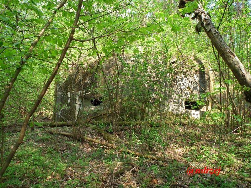 Великі Макари з panoramio.com - Великі Макари