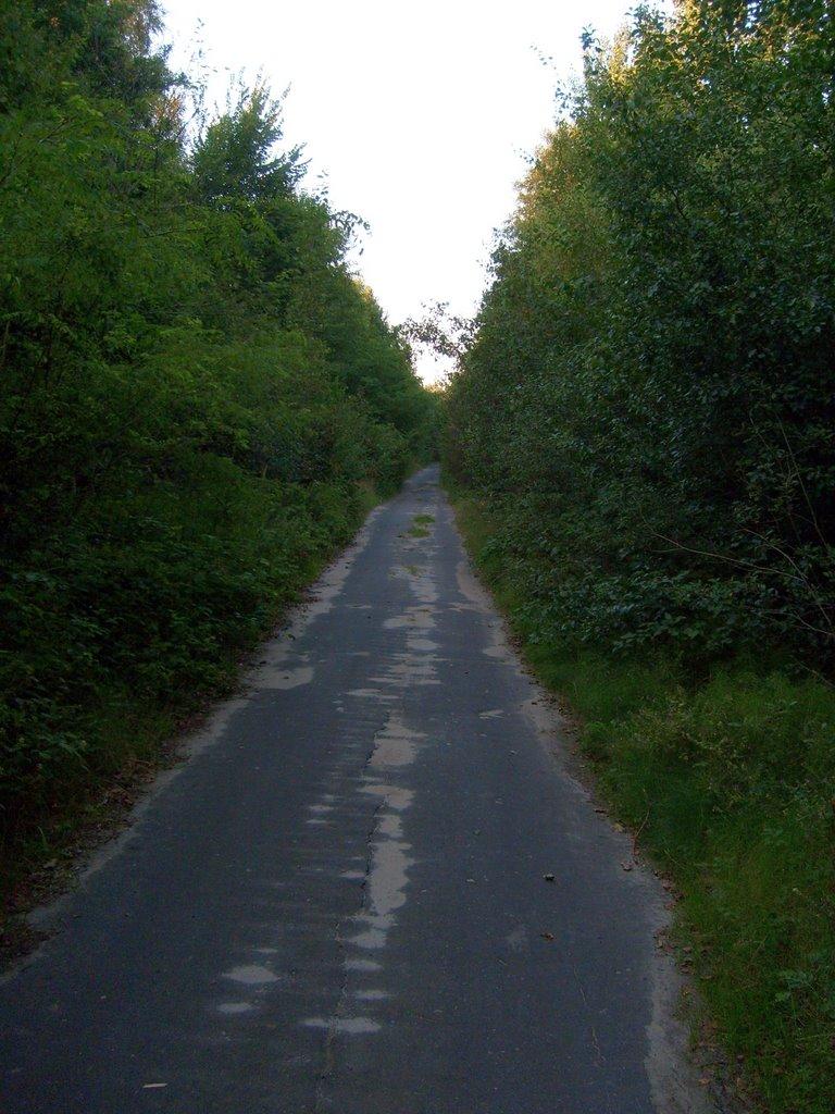 Забужжя з panoramio.com - Забужжя