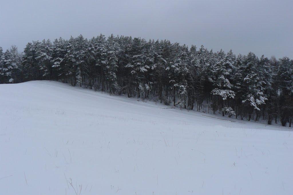 Радісне з panoramio.com - Радісне