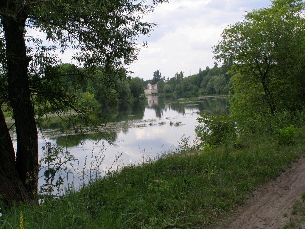 Осички з panoramio.com - Осички