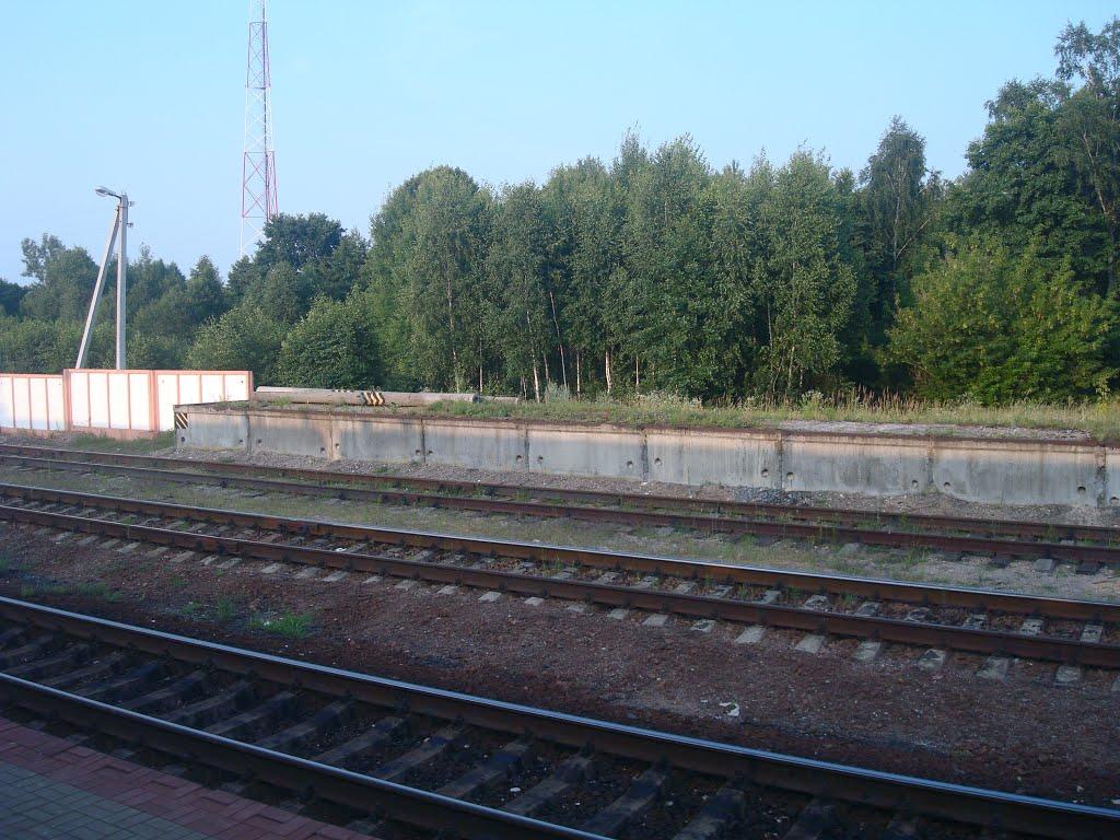 Виступовичі з panoramio.com - Выступовичи