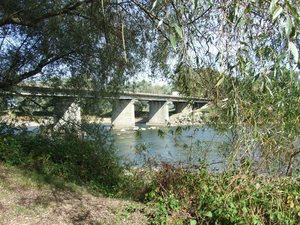 Заліски з panoramio.com - Залески