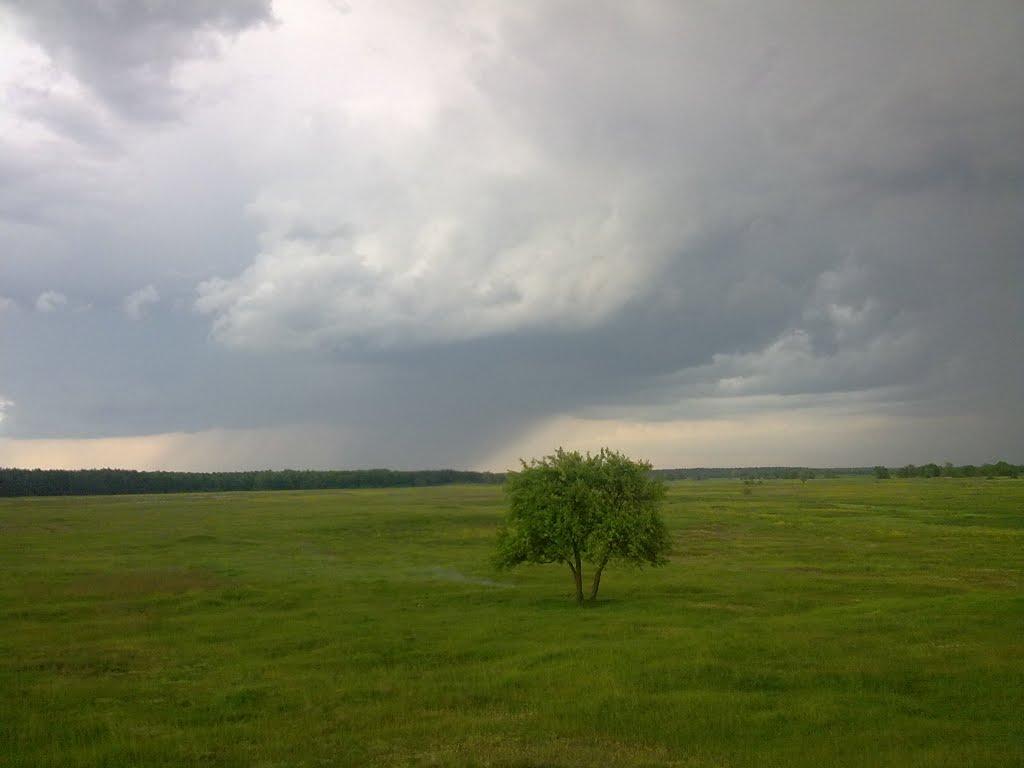 Яструбичі з panoramio.com - Яструбичі