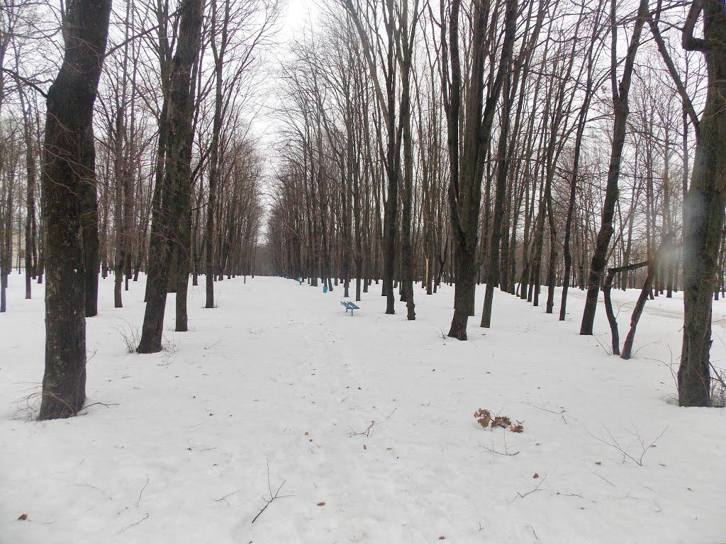Теплик з panoramio.com - Теплик