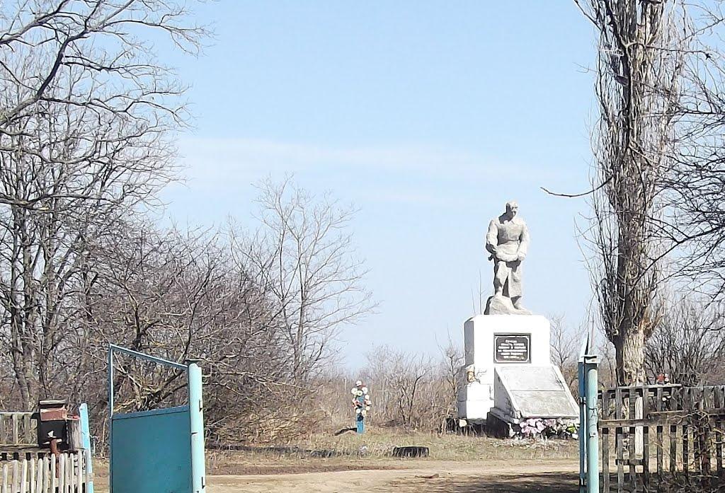 Нова Кам'янка з panoramio.com - Нова Кам'янка