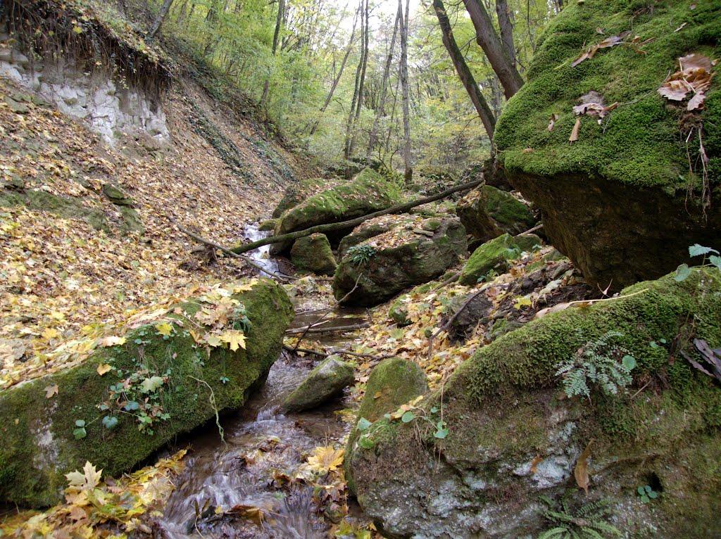 Садківці з panoramio.com - Садківці