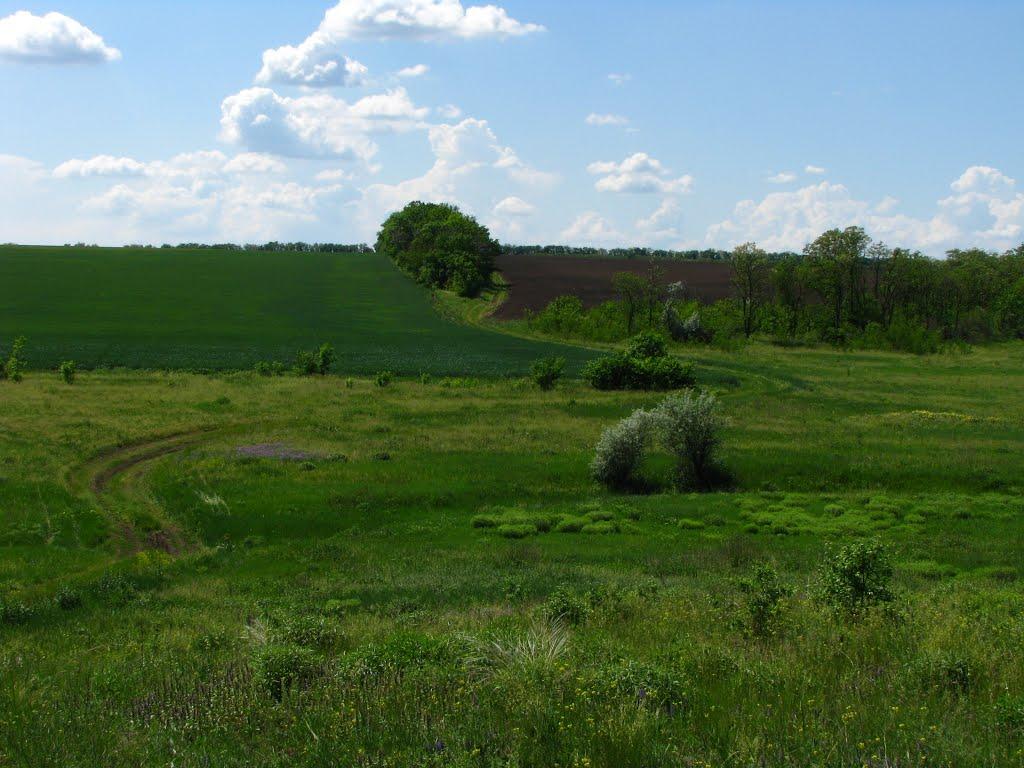 Першотравенськ з panoramio.com - Першотравенск