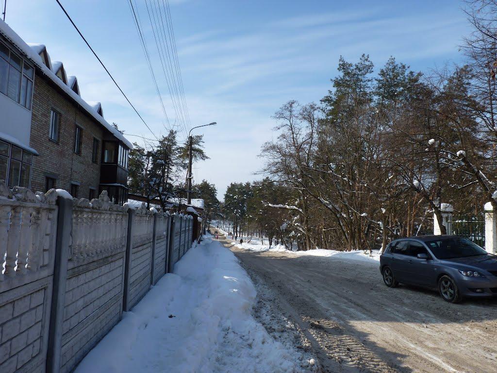 Сокільча з panoramio.com - Сокільча