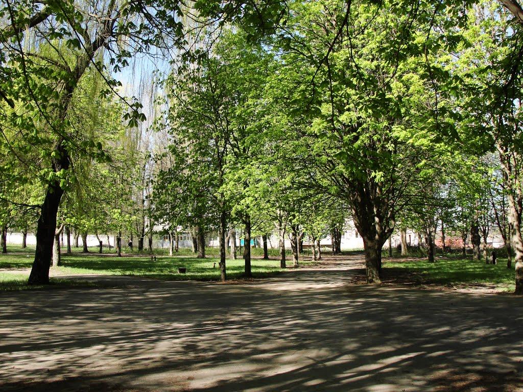 Вільногірськ з panoramio.com - Вольногорск