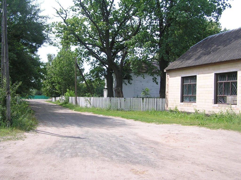 Макалевичі з panoramio.com - Макалевичі