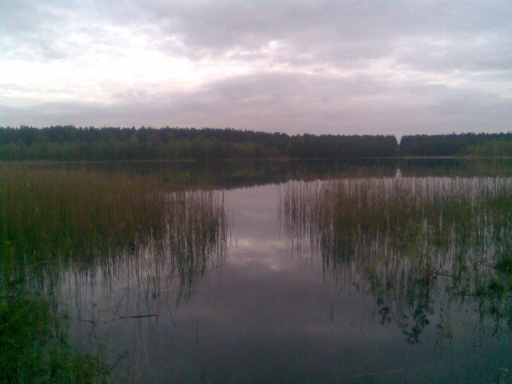 Забужжя з panoramio.com - Забужье