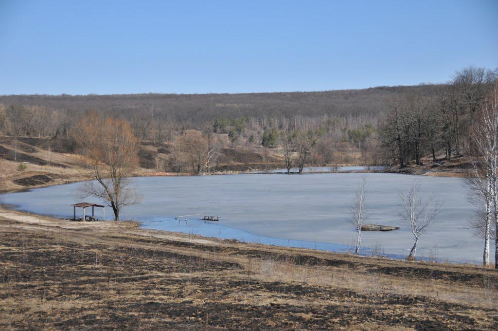 Велика Гомільша з panoramio.com - Велика Гомільша