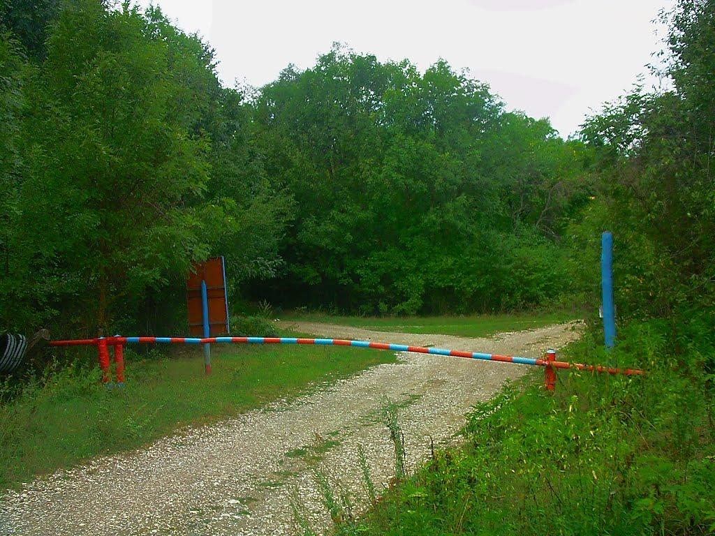 Щасливе з panoramio.com - Счастливое