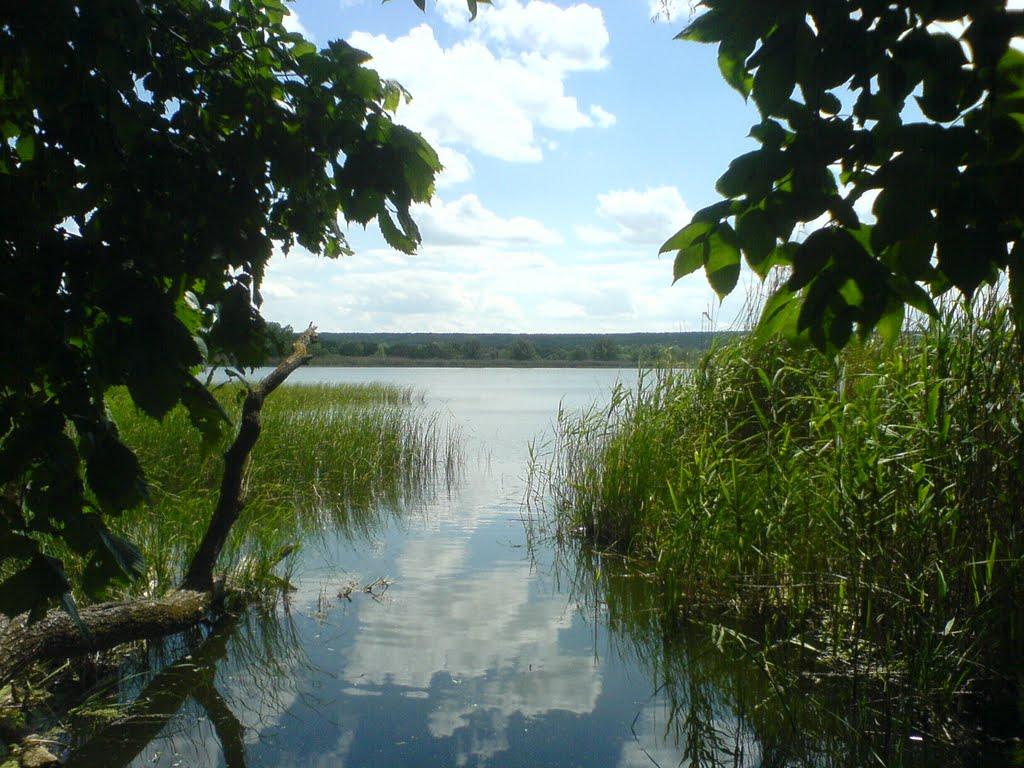 Червоний Шлях з panoramio.com - Червоний Шлях