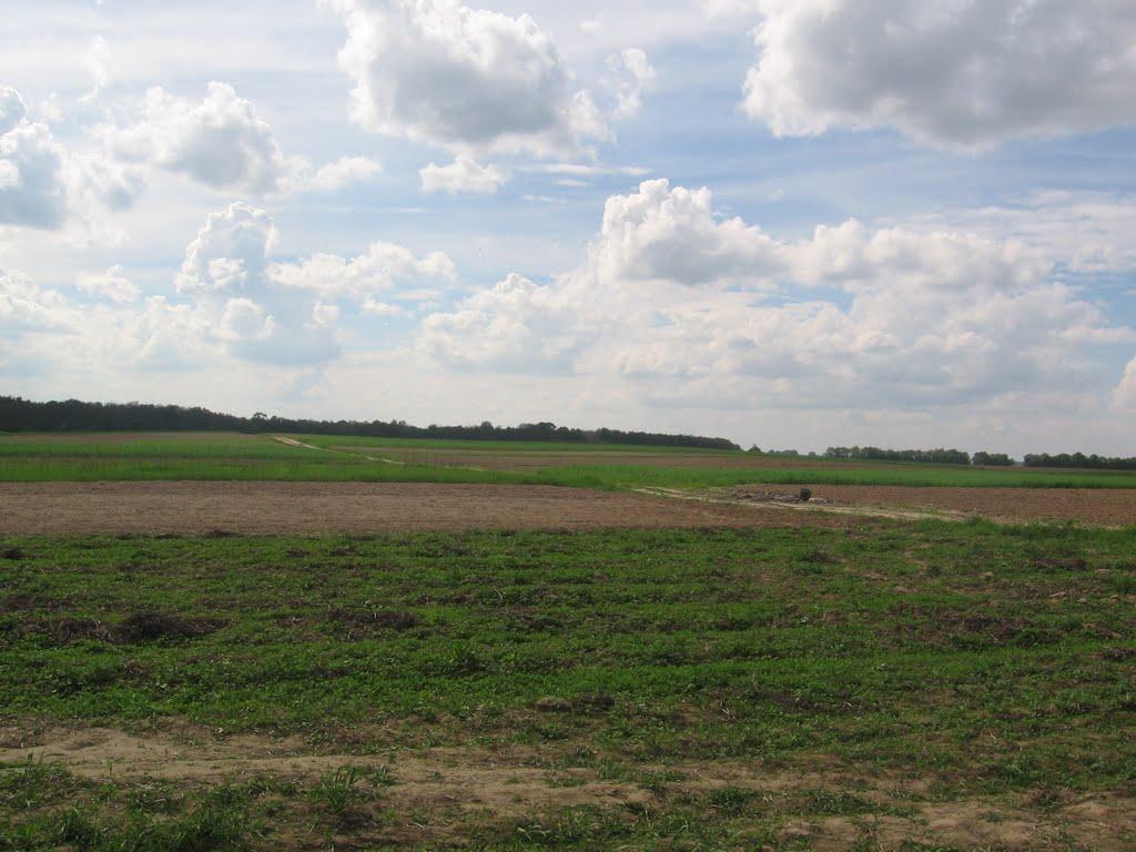 Новоселівка з panoramio.com - Новоселівка