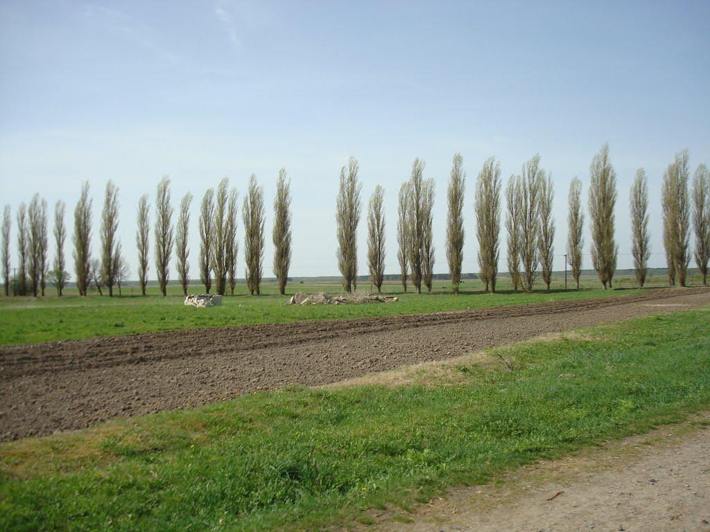 Дроздні з panoramio.com - Дроздни