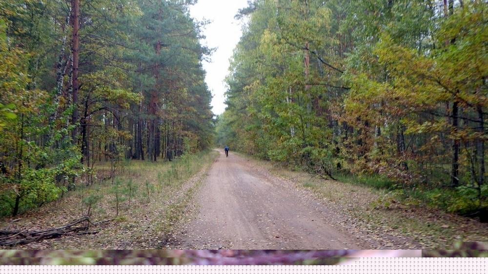 Набережне з panoramio.com - Набережное