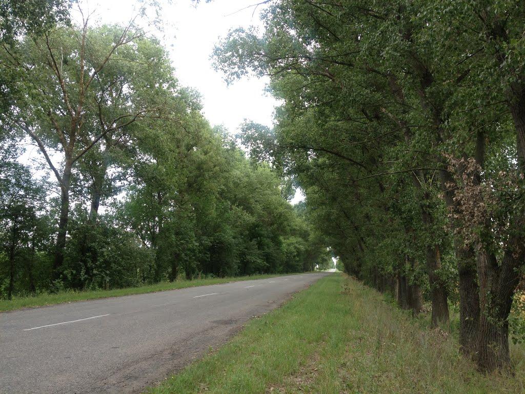 Королівка з panoramio.com - Королевка