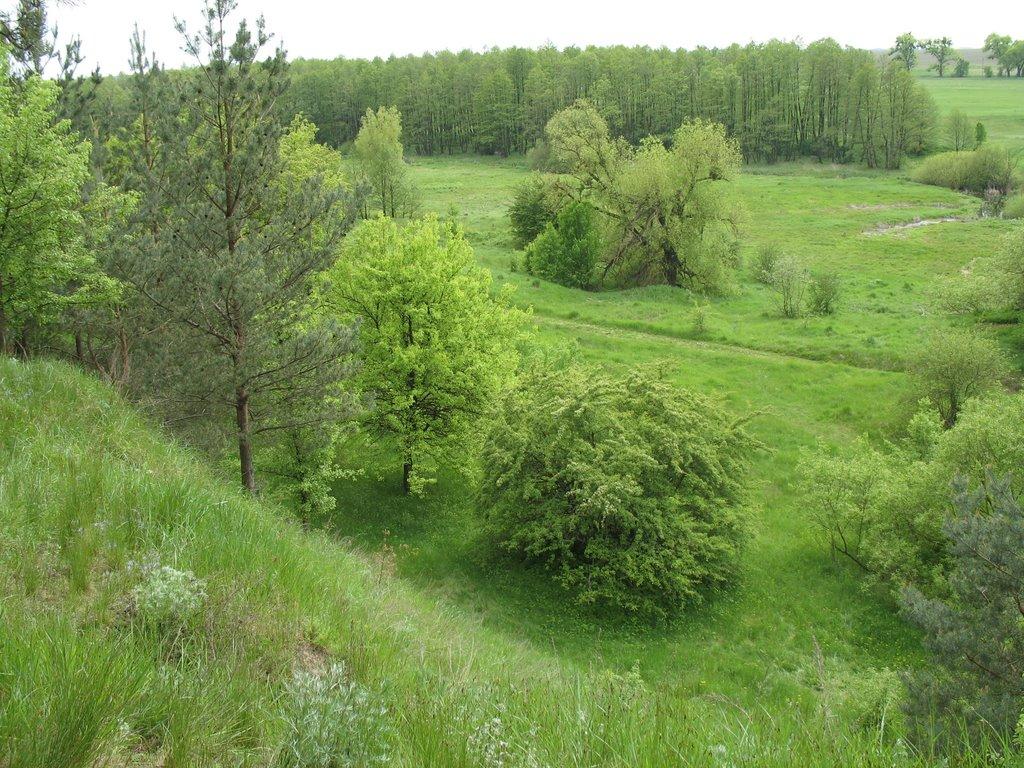 Матвіїха з panoramio.com - Матвіїха