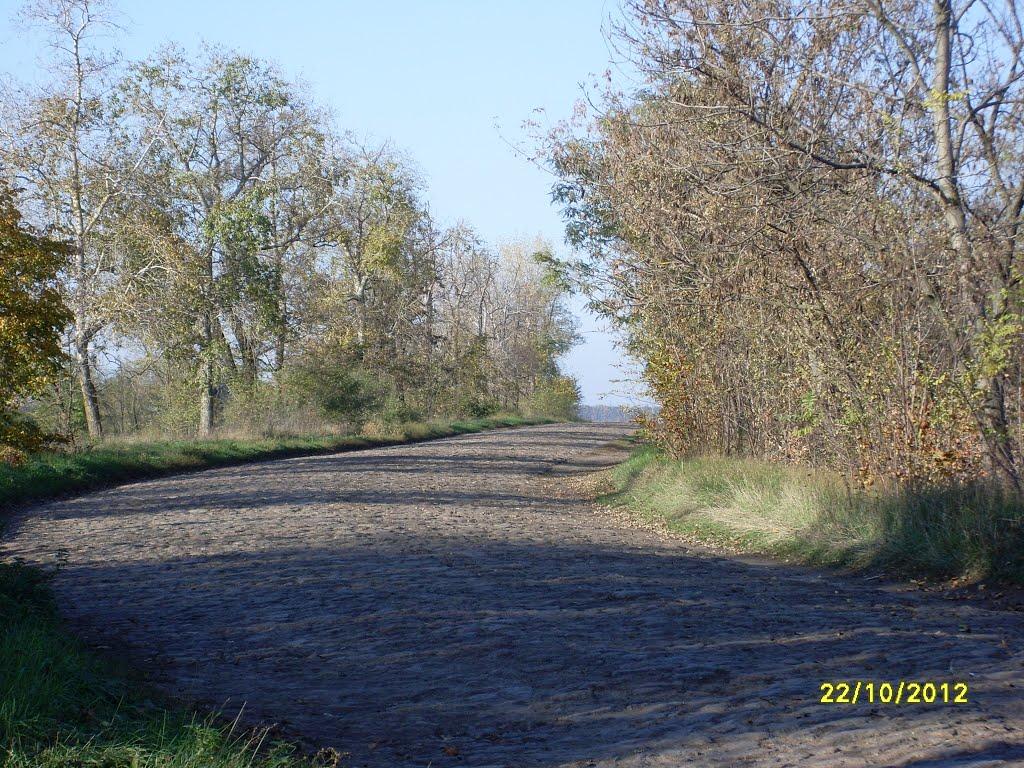 Дубова з panoramio.com - Дубова