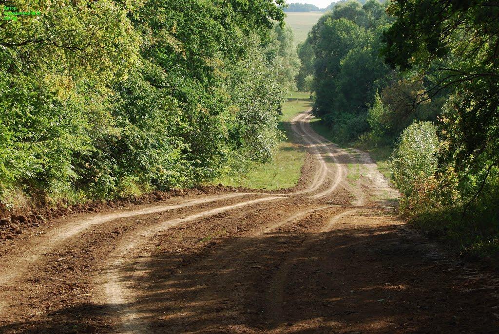 Батьки з panoramio.com - Батьки