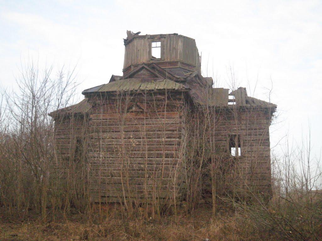 Біловежі Перші з panoramio.com - Біловежі Перші