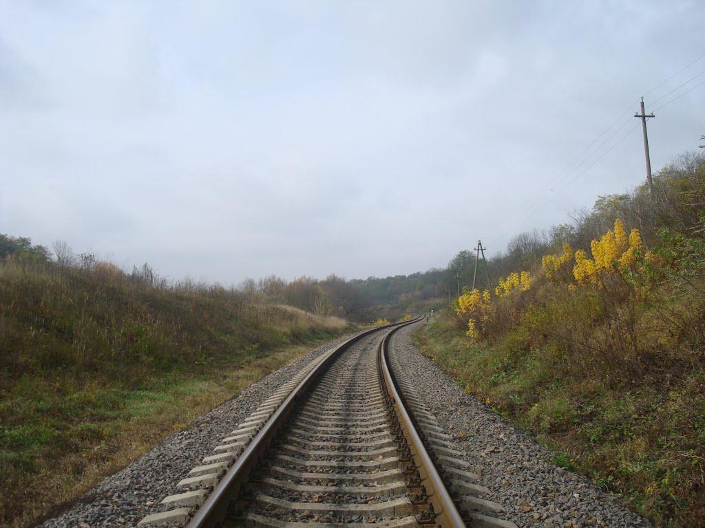 Кузьминчик з panoramio.com - Кузминчик