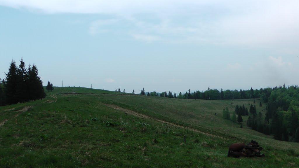 Баня-Березів з panoramio.com - Баня-Березов